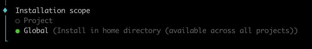Installation scope — Project or Global